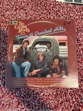 The Grass Roots Their 16 Greatest Hits Vinyl LP Record